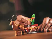 Elf Club House
