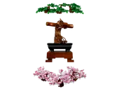 Bonsai