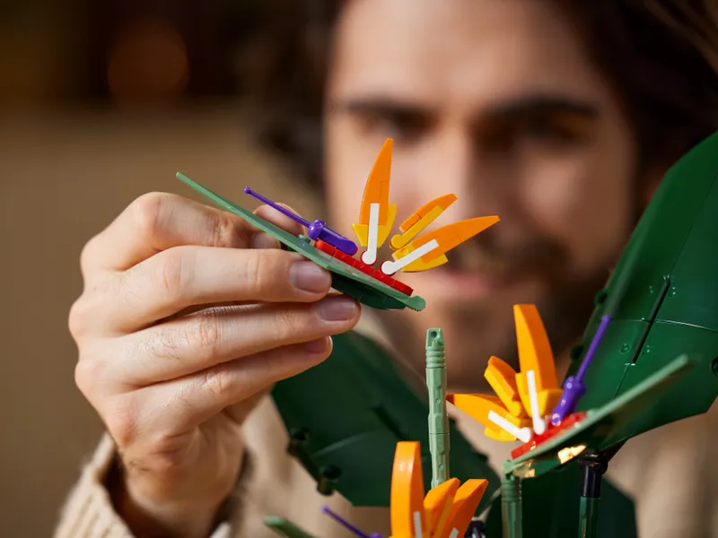 Bird of Paradise