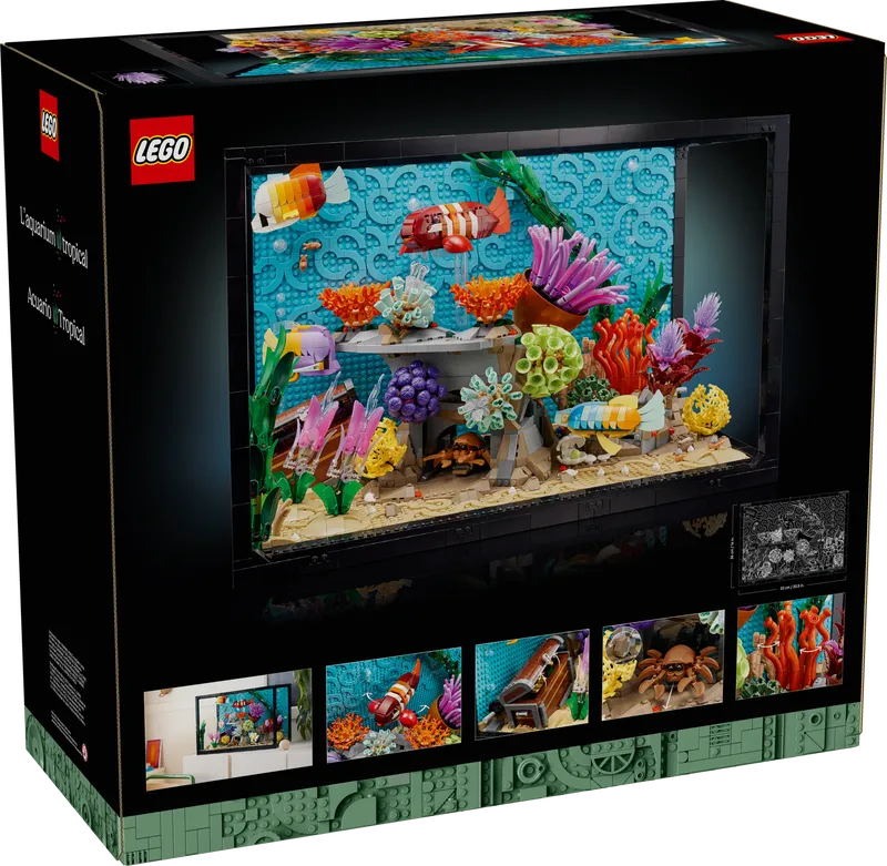Tropical Aquarium
