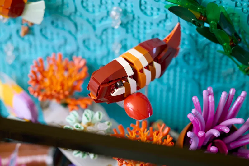 Tropical Aquarium