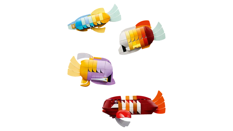 Tropical Aquarium
