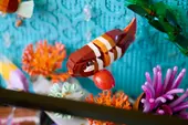 Tropical Aquarium