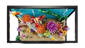 Tropical Aquarium