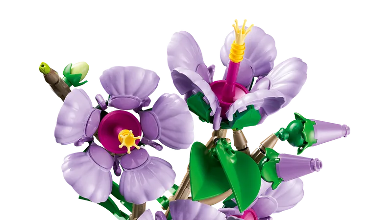 Hibiscus