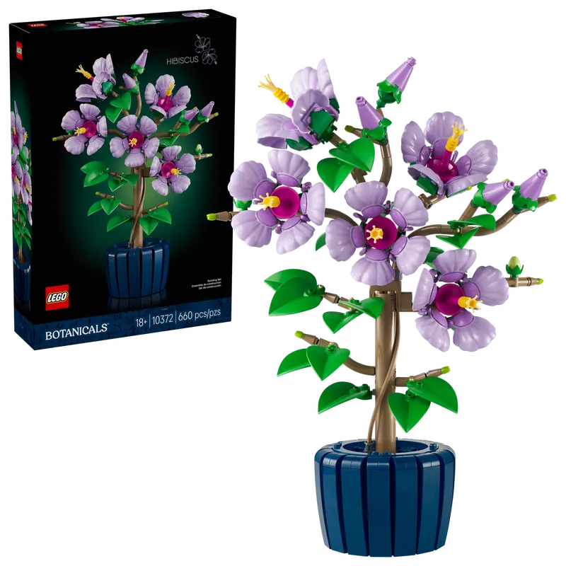 Hibiscus