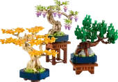Mini Bonsai Trees