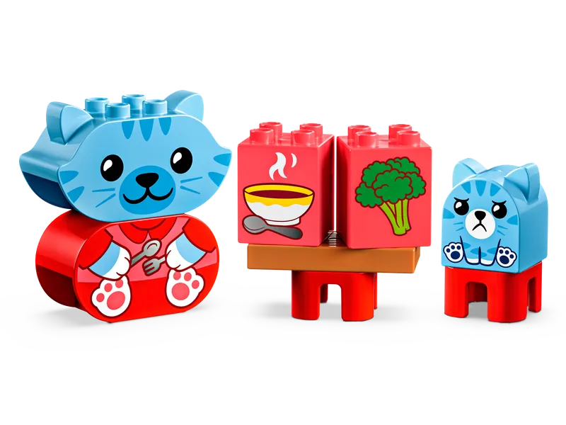 Daily Routines: Eating &amp; Bedtime