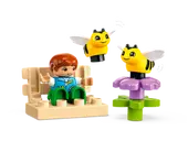 Caring for Bees &amp; Beehives