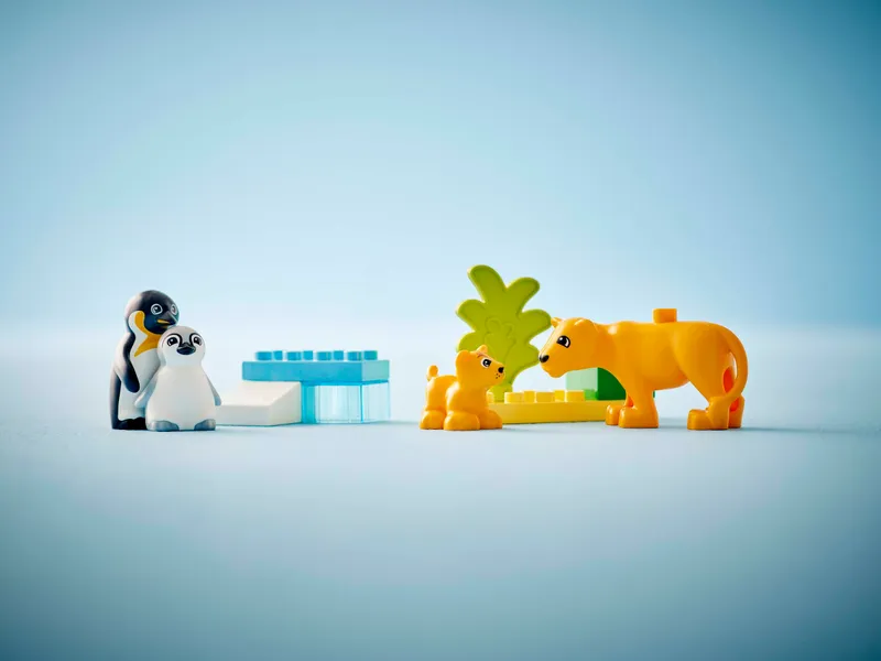 Wild Animal Families: Penguins &amp; Lions