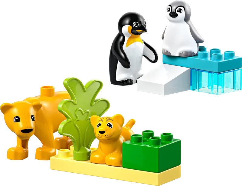 Wild Animal Families: Penguins &amp; Lions