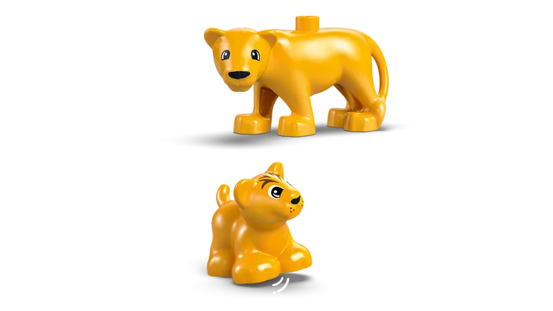 Wild Animal Families: Penguins &amp; Lions