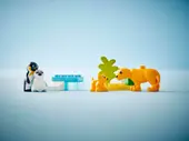 Wild Animal Families: Penguins &amp; Lions