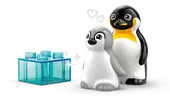 Wild Animal Families: Penguins &amp; Lions