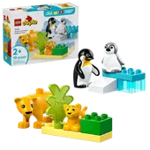 Wild Animal Families: Penguins &amp; Lions