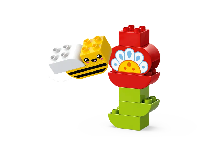 Creative Garden &amp; Flowers