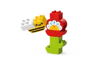 Creative Garden &amp; Flowers