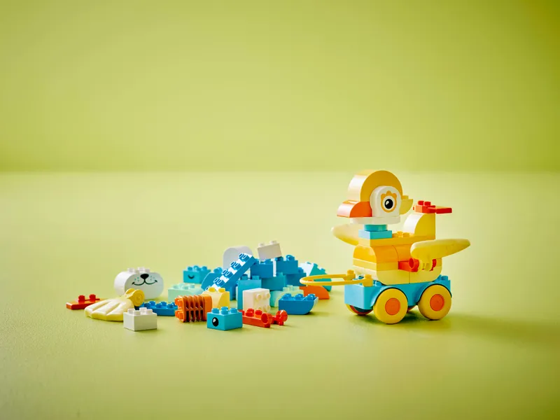 3in1 Animals on Wheels