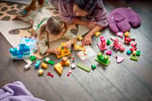 Animal Building Game