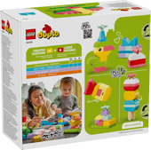 Colorful Creative Box