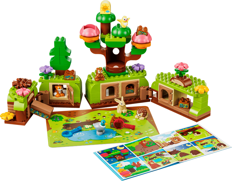 Discovery Forest with Wild Animals