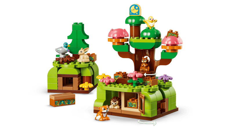 Discovery Forest with Wild Animals