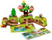 Discovery Forest with Wild Animals
