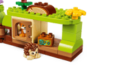 Discovery Forest with Wild Animals