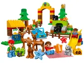 Forest: Park