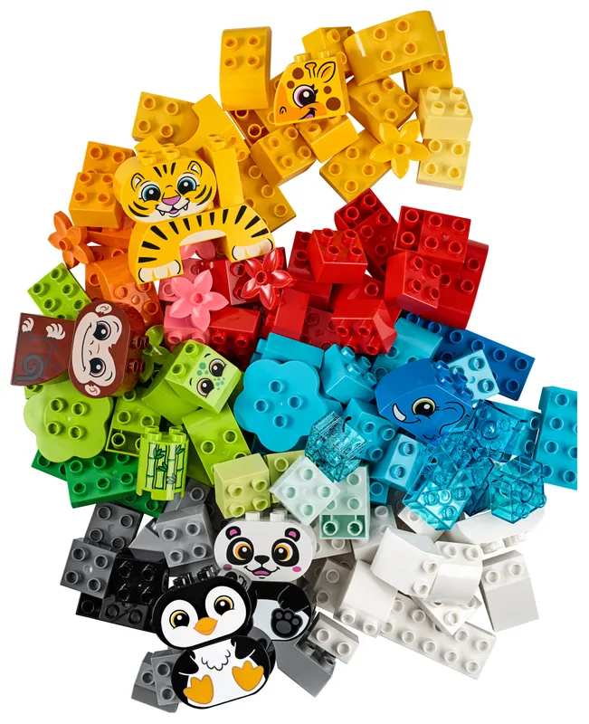 Creative Animals