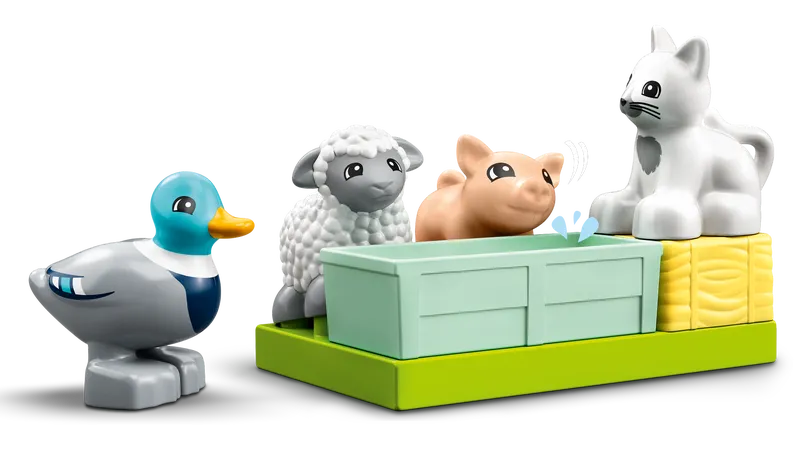 Farm Animal Care