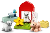 Farm Animal Care