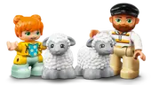 Farm Tractor &amp; Animal Care