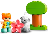 Farm Tractor &amp; Animal Care