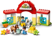 Horse Stable and Pony Care
