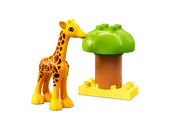 Wild Animals of Africa