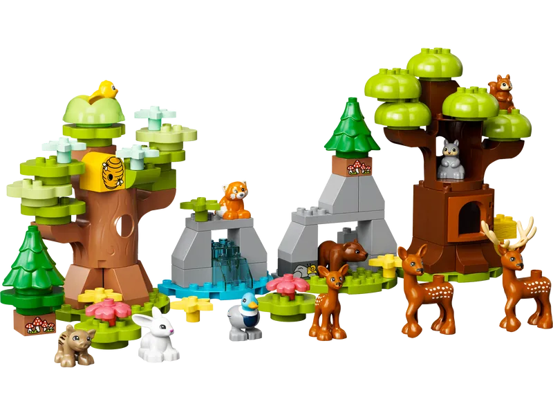 Wild Animals Of Europe