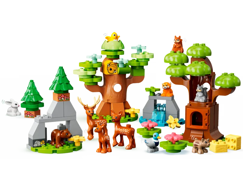 Wild Animals Of Europe