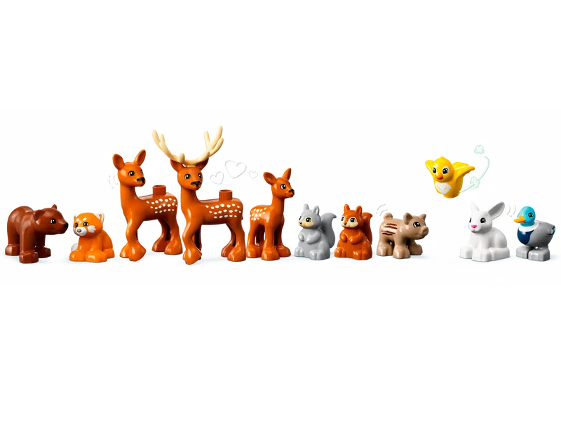 Wild Animals Of Europe