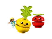 Fruit and Vegetable Tractor