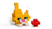Creative Colorful Bricks