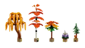 Autumn Cottage Garden