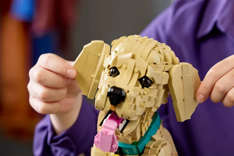 Golden Retriever Puppy