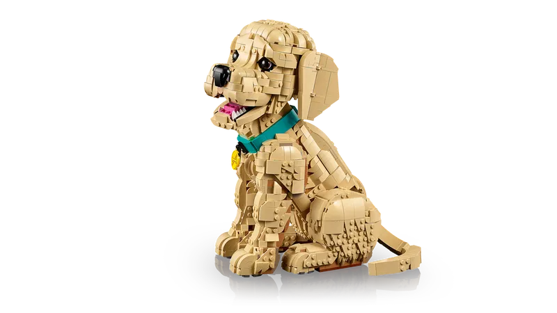 Golden Retriever Puppy