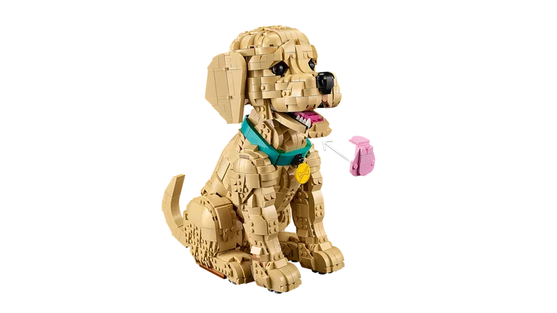 Golden Retriever Puppy