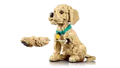 Golden Retriever Puppy