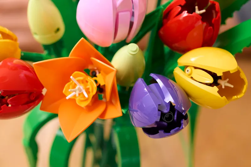 Tulip Bouquet