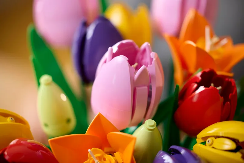 Tulip Bouquet