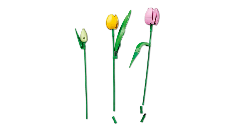 Tulip Bouquet