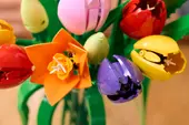 Tulip Bouquet